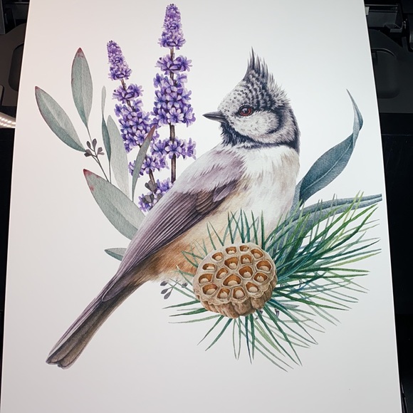 Watercolor Wall Art Print Crested Tit Illustration Unframed - Picture 8 of 17
